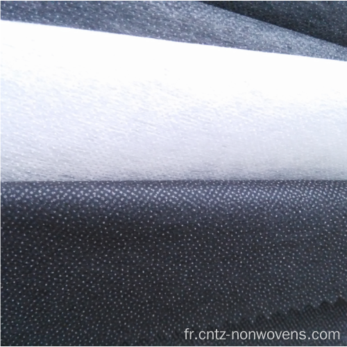 Matière en polyester en nylon 50% des intervenations fusibles non tissées